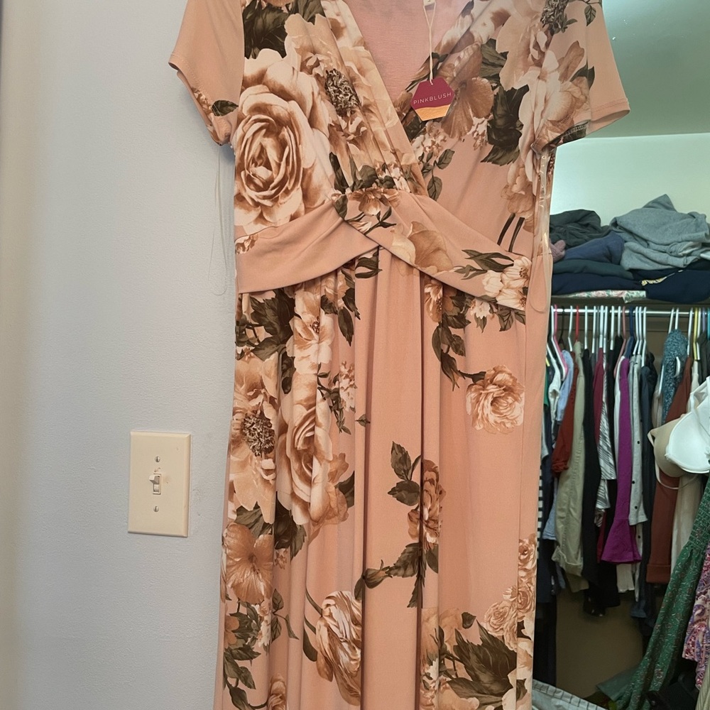NWT Pink Blush maxi dress